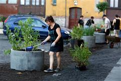 Nie zabierajcie nam ogrodów – Epidemia „betonozy” w Polskich miastach.